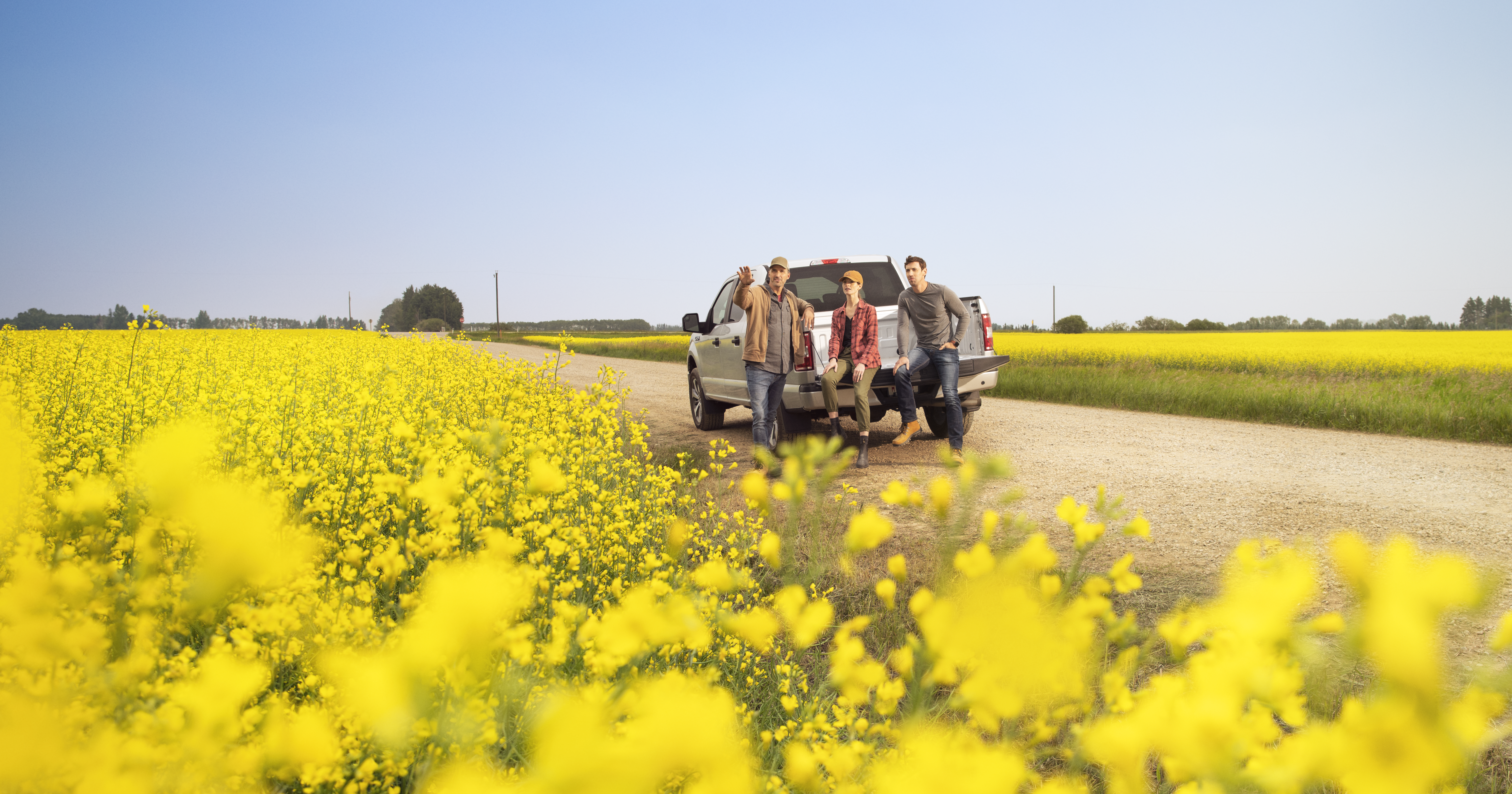 truck in canola field